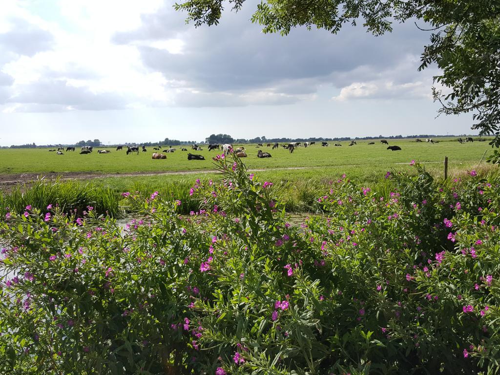 Bed&Breakfast De Koegang Zuidermeer Exterior foto