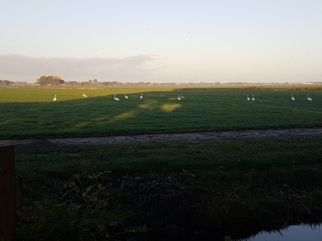 Bed&Breakfast De Koegang Zuidermeer Exterior foto