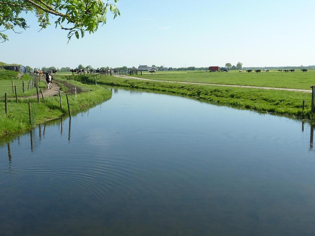 Bed&Breakfast De Koegang Zuidermeer Exterior foto